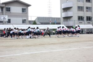 IMG_0552