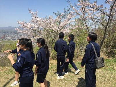 s_IMG_9431[1]