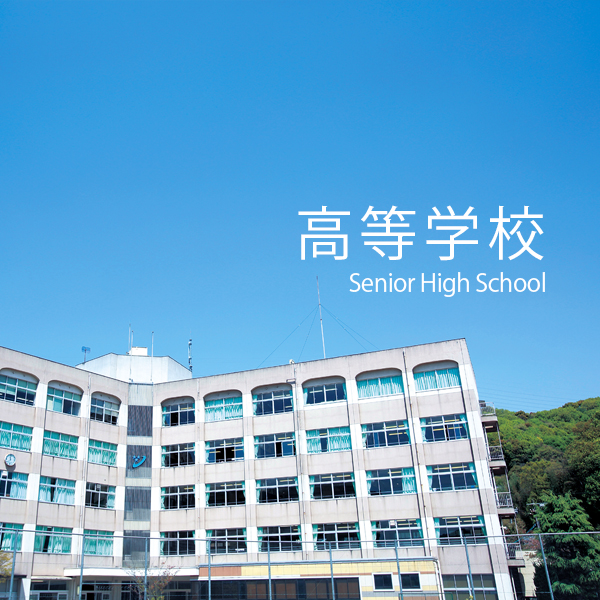 高等学校